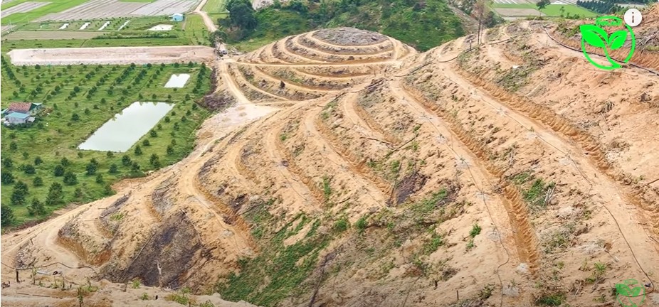 vuon sau rieng dia hinh doi doc tai Lam Dong